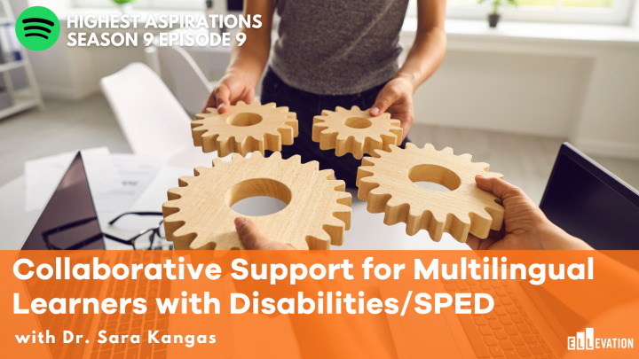Collaborative Support for Multilingual Learners with Disabilities