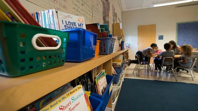 A Thanksgiving Read: Inspiring Stories of ELL Tenacity