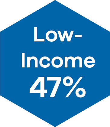 47% Low Income